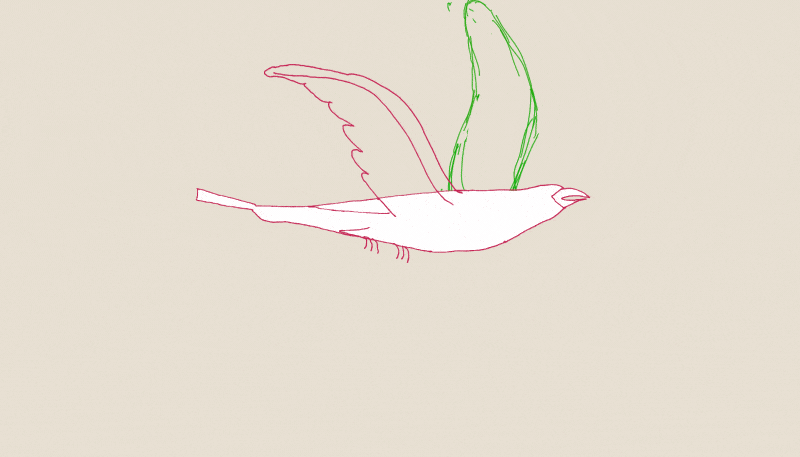 Akima_Bird_BTS