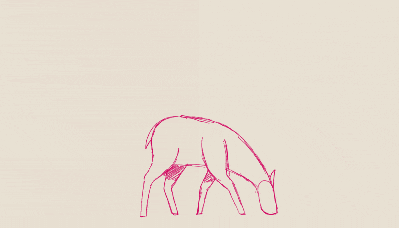 Akima_Deer_BTS