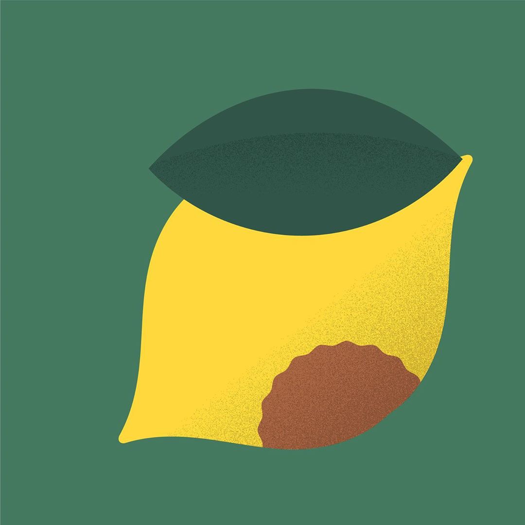 illustration limone