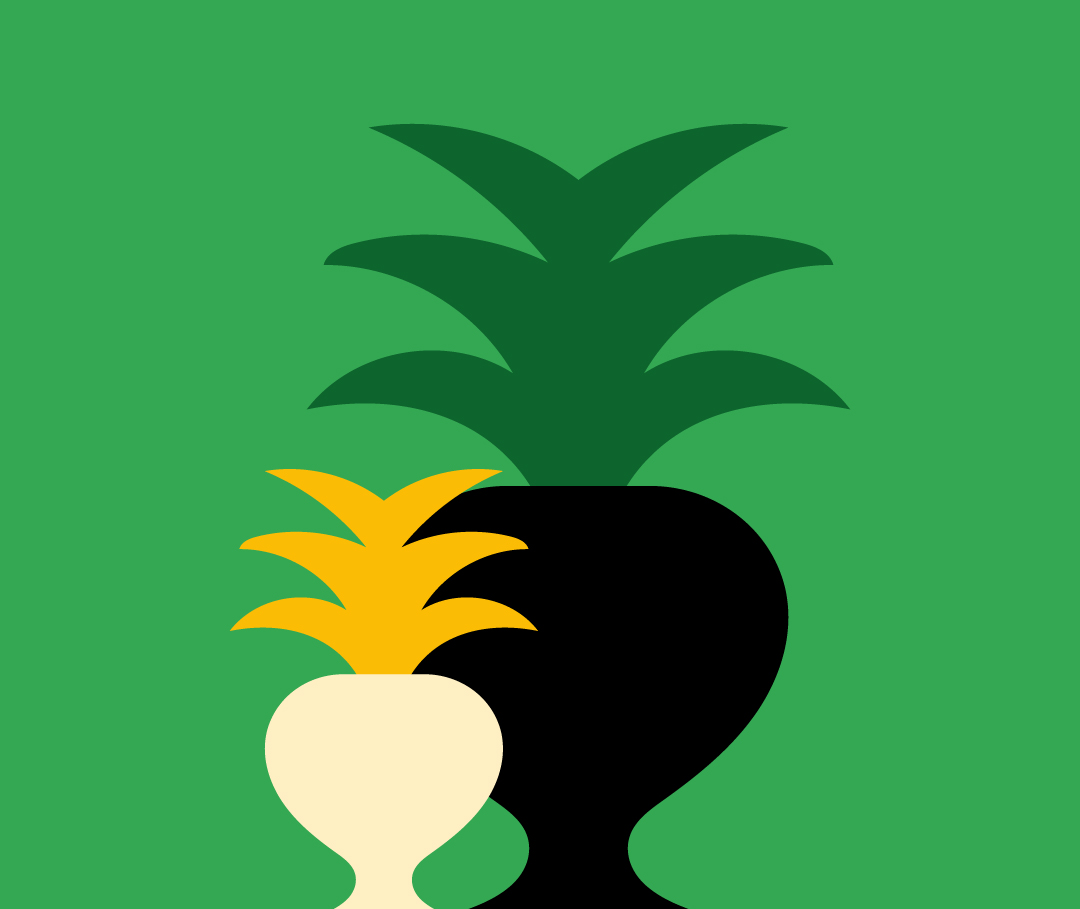 googleIta_plants