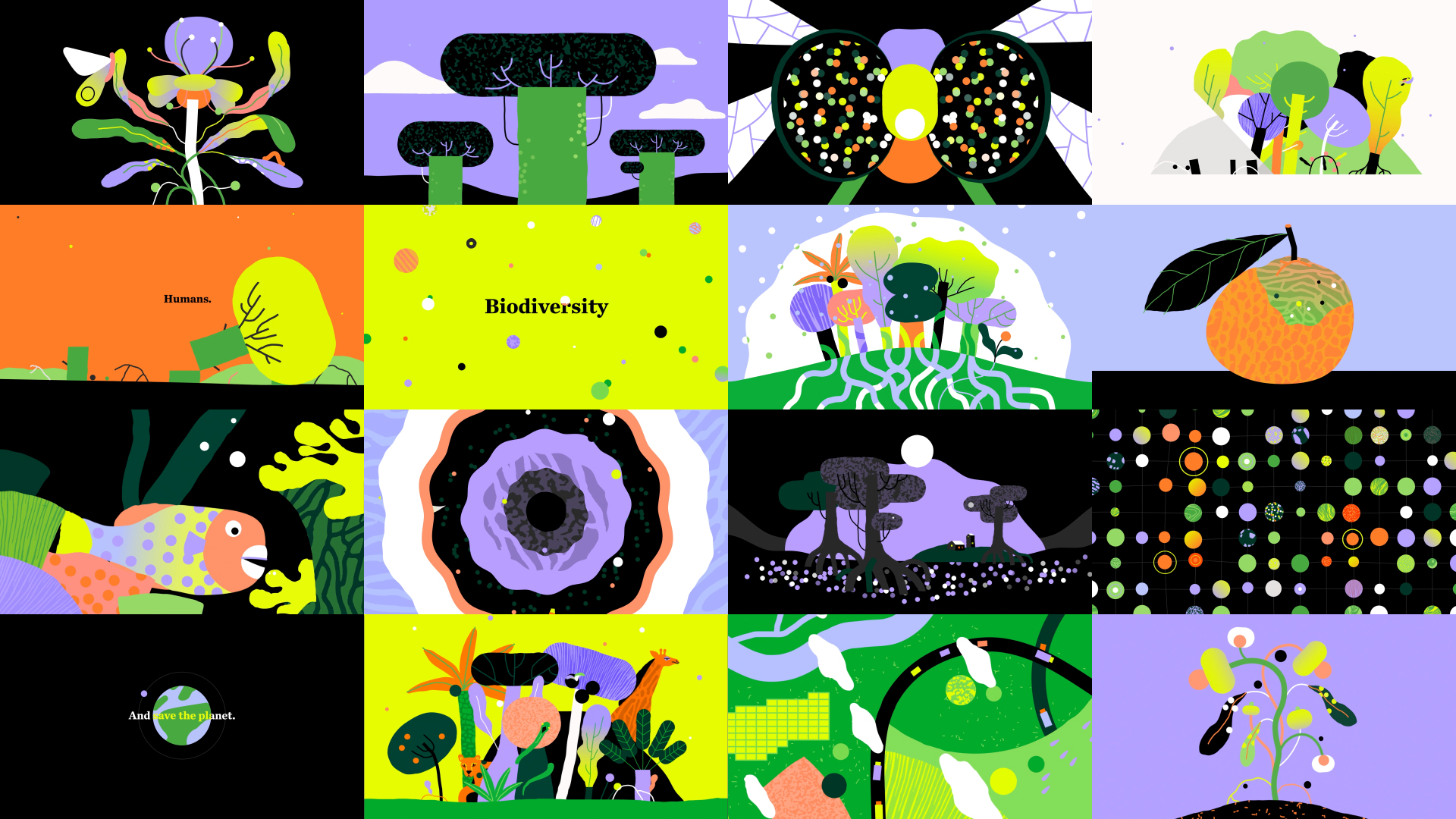 TNC Biodiversity — Storyboard