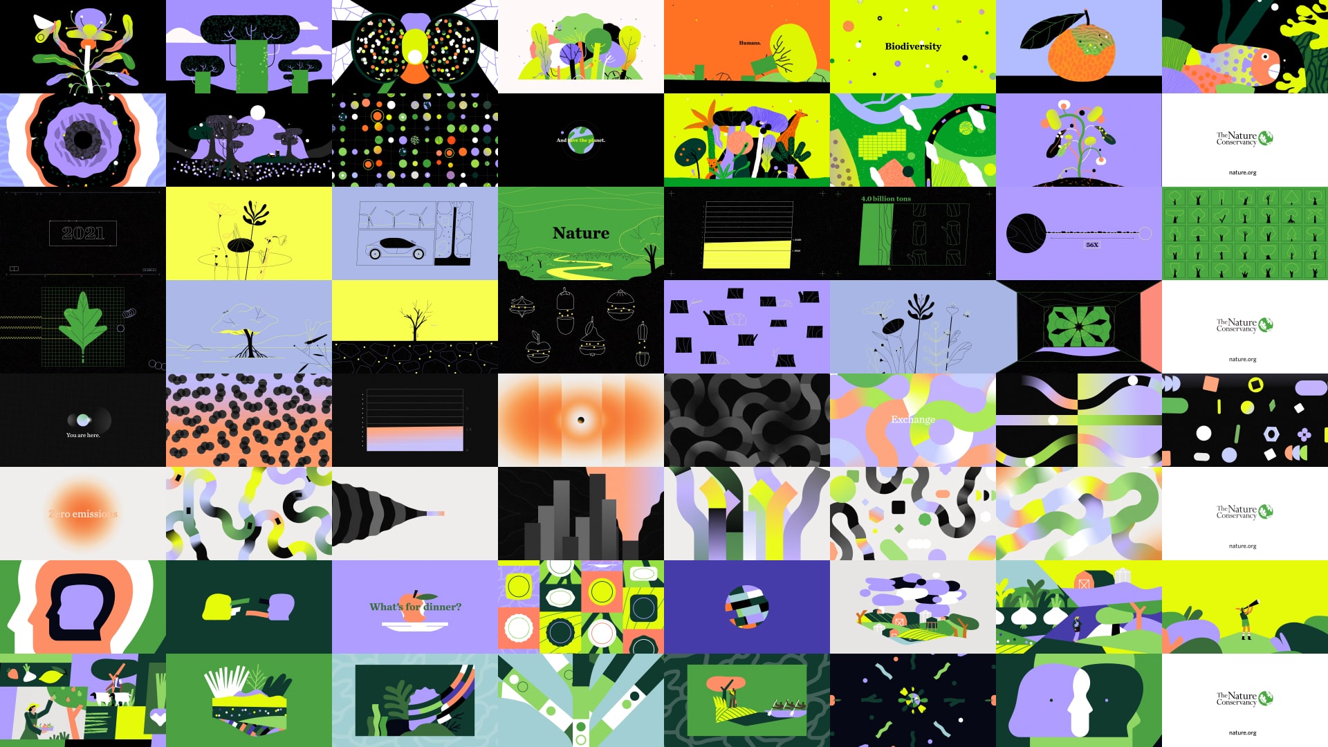 TNC — Storyboards all