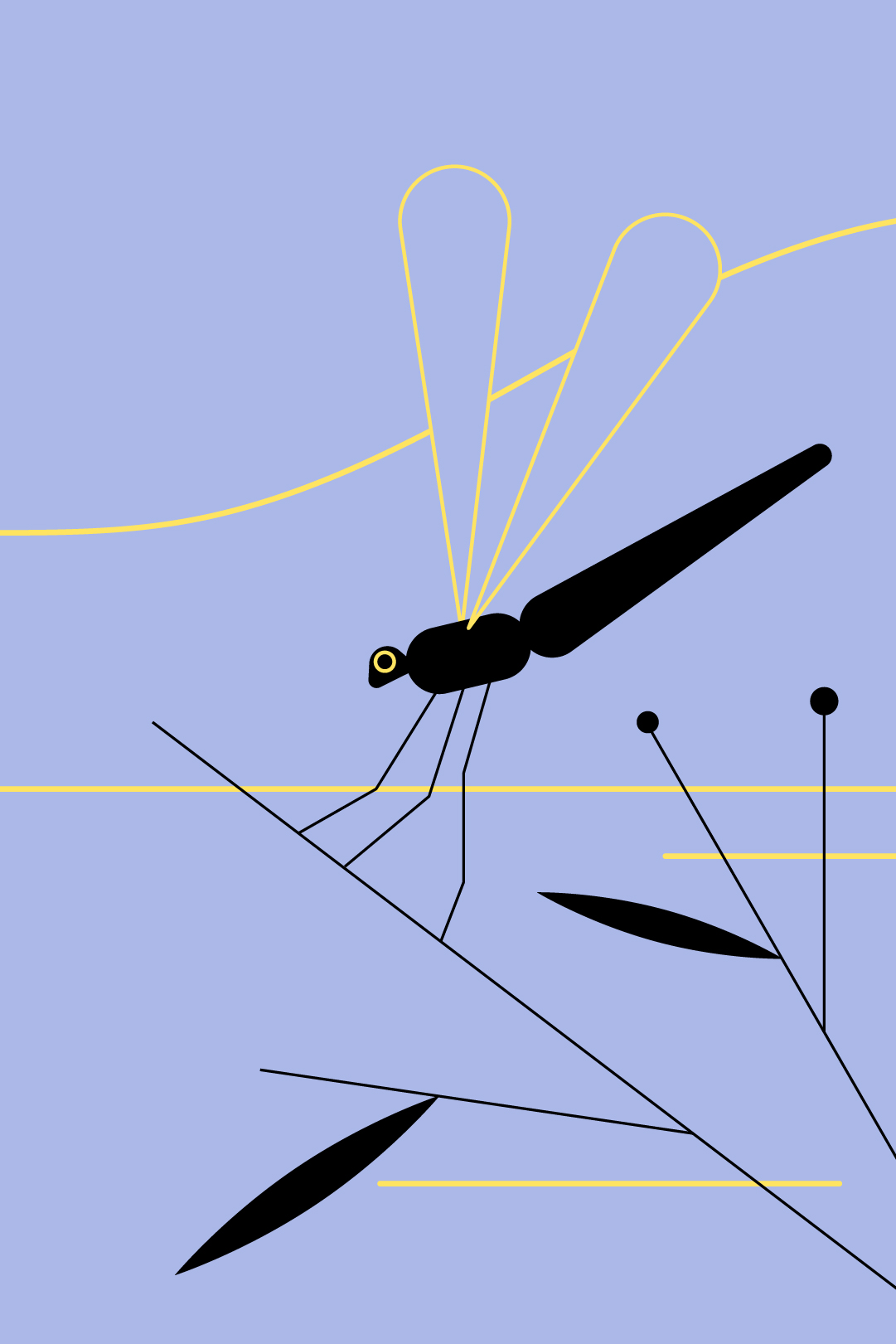 TNC NCS — Dragonfly