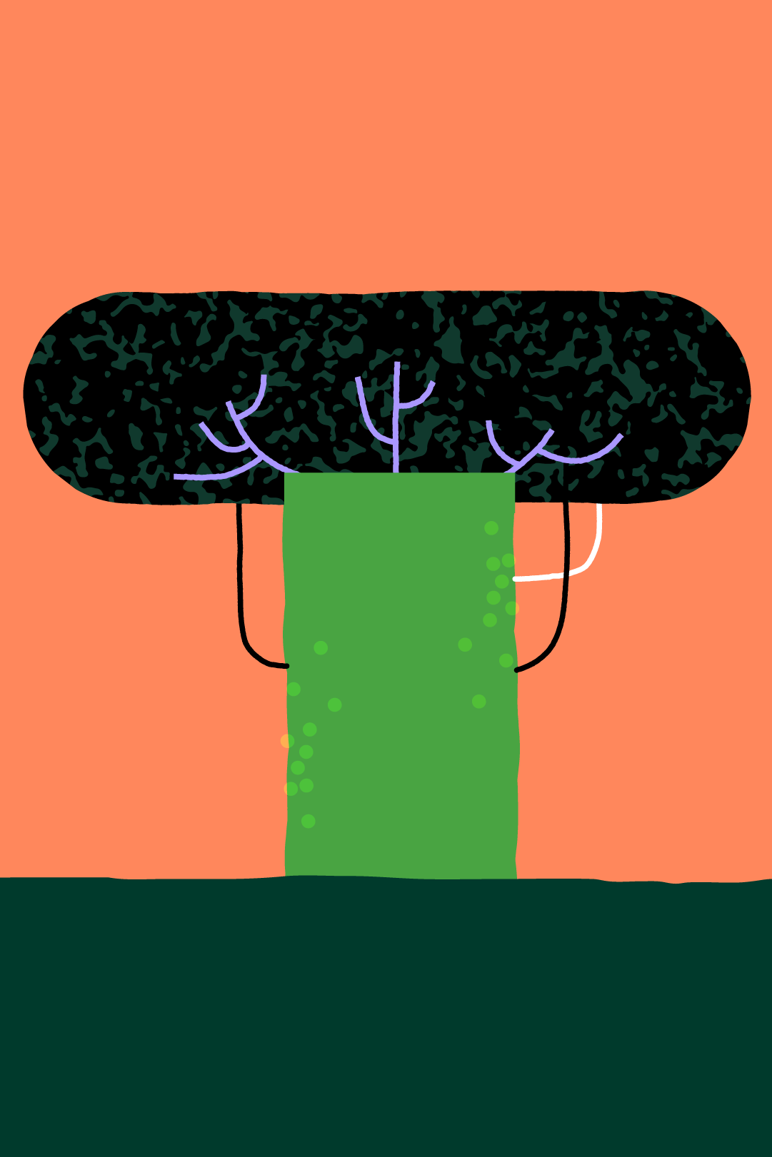 TNC Biodiversity — Baobab