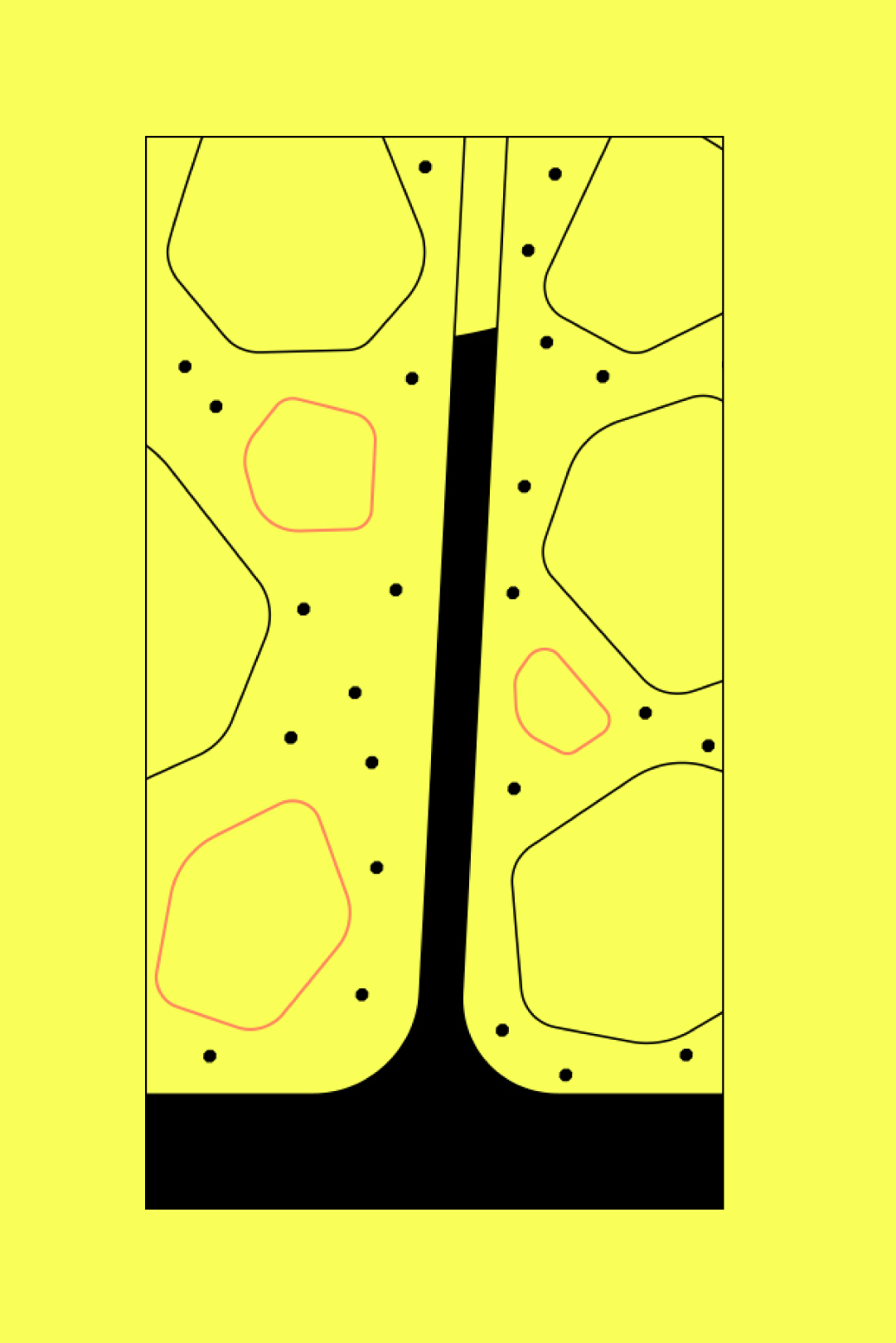 climateSolution_TNC_ground