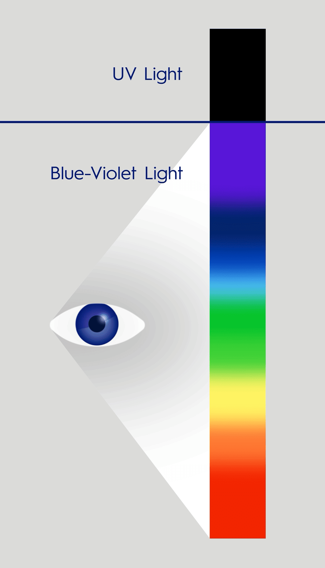 Essilor — spectrum